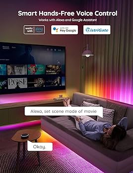 新品 Govee H61A2 LED ロープライト 5m アプリ対応 初売 新品 Govee H61A2 LED ロープライト 5m アプリ対応 Amazon.com